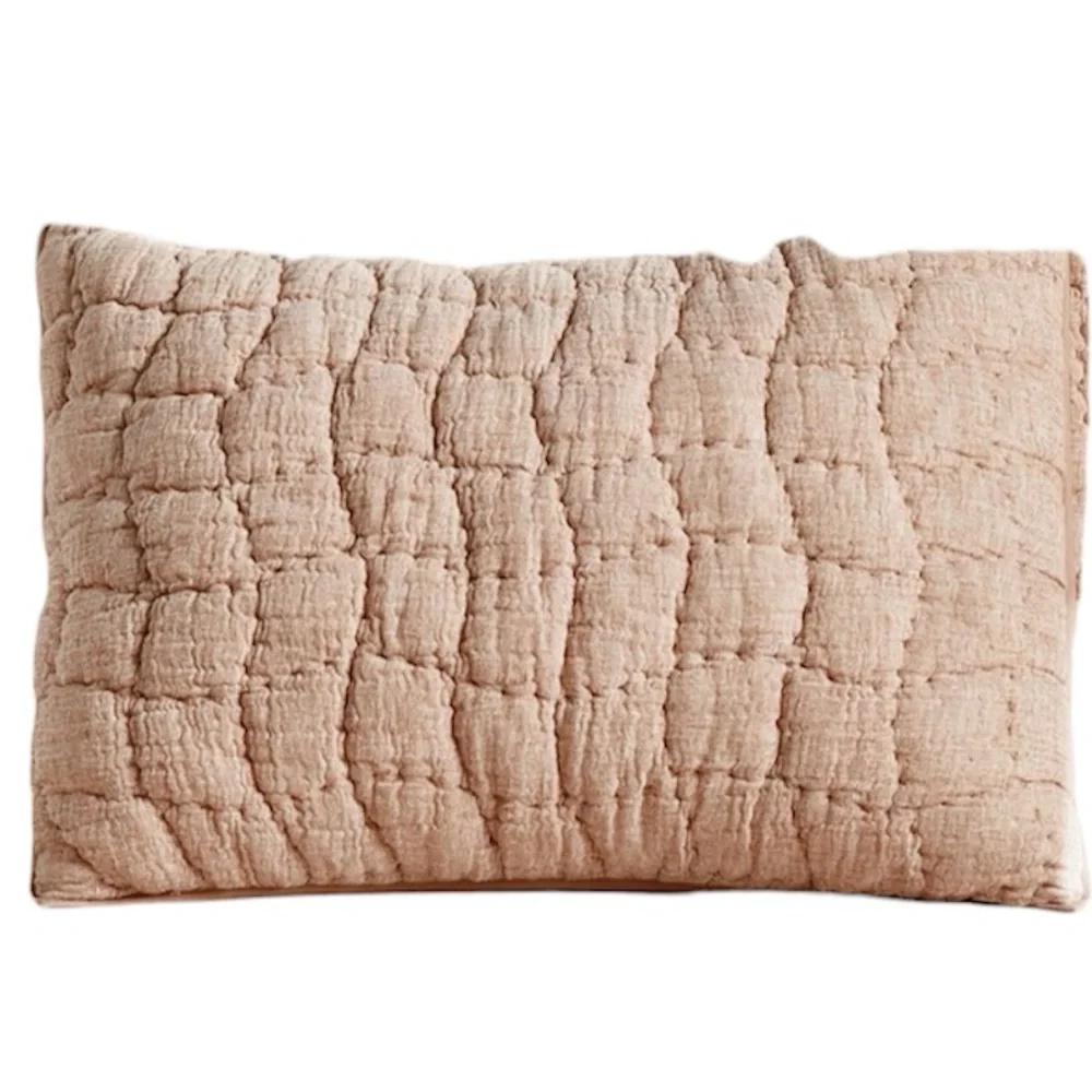 Pottery Barn Cloud Quilted Standard Sham in camel